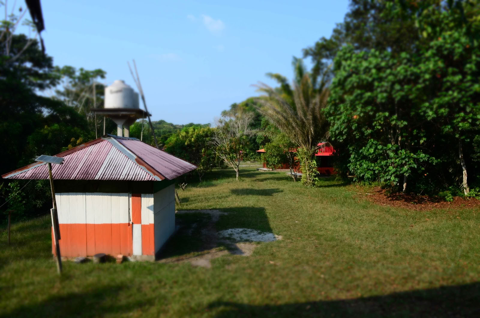 Officieel Selva Madre Ayahuasca Retreat Iquitos Peru