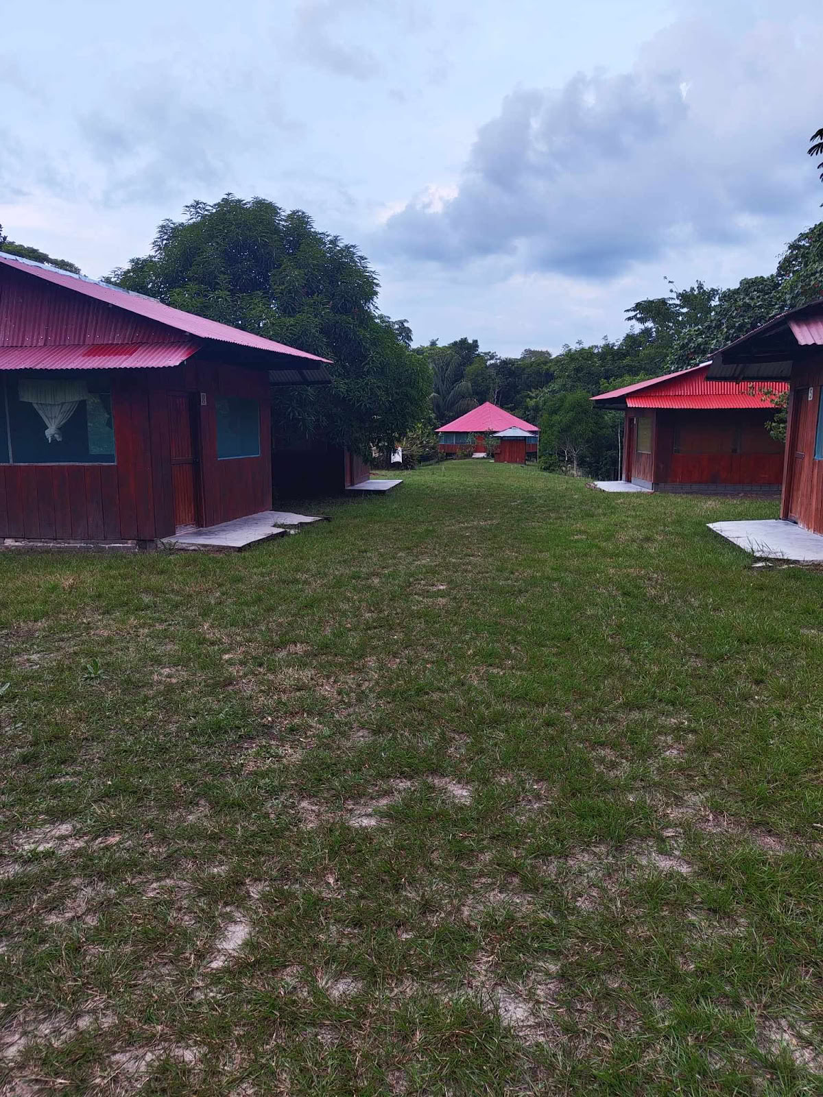 Officieel Selva Madre Ayahuasca Retreat Iquitos Peru