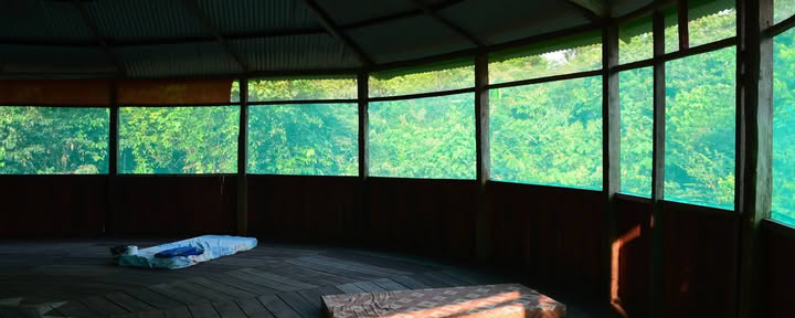 Officieel Selva Madre Ayahuasca Retreat Iquitos Peru