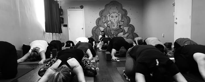 De Yoga Schuur
