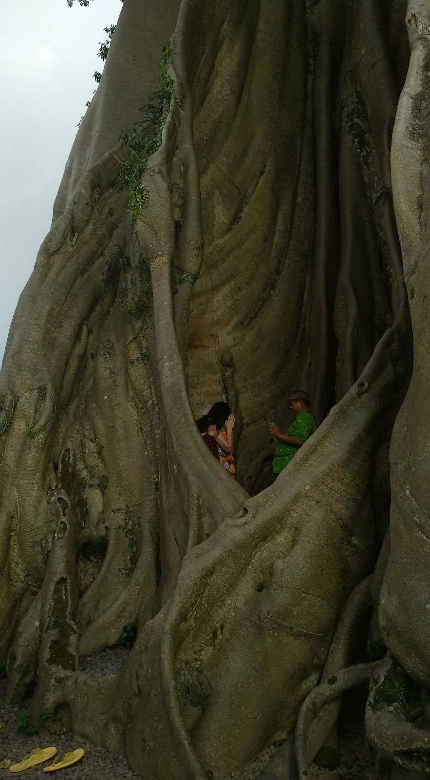Bali Wellness & Cultuur door Taman Usada Bali