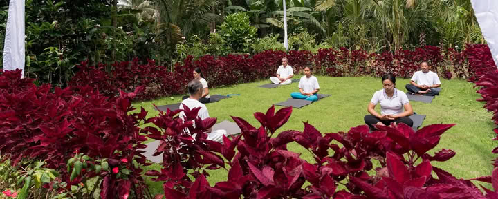Bali Wellness & Cultuur door Taman Usada Bali