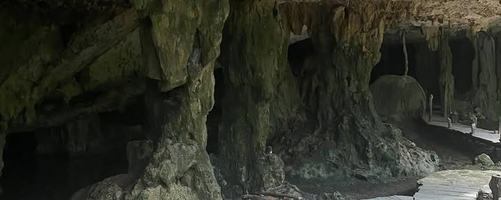 Jungle Yoga Tulum