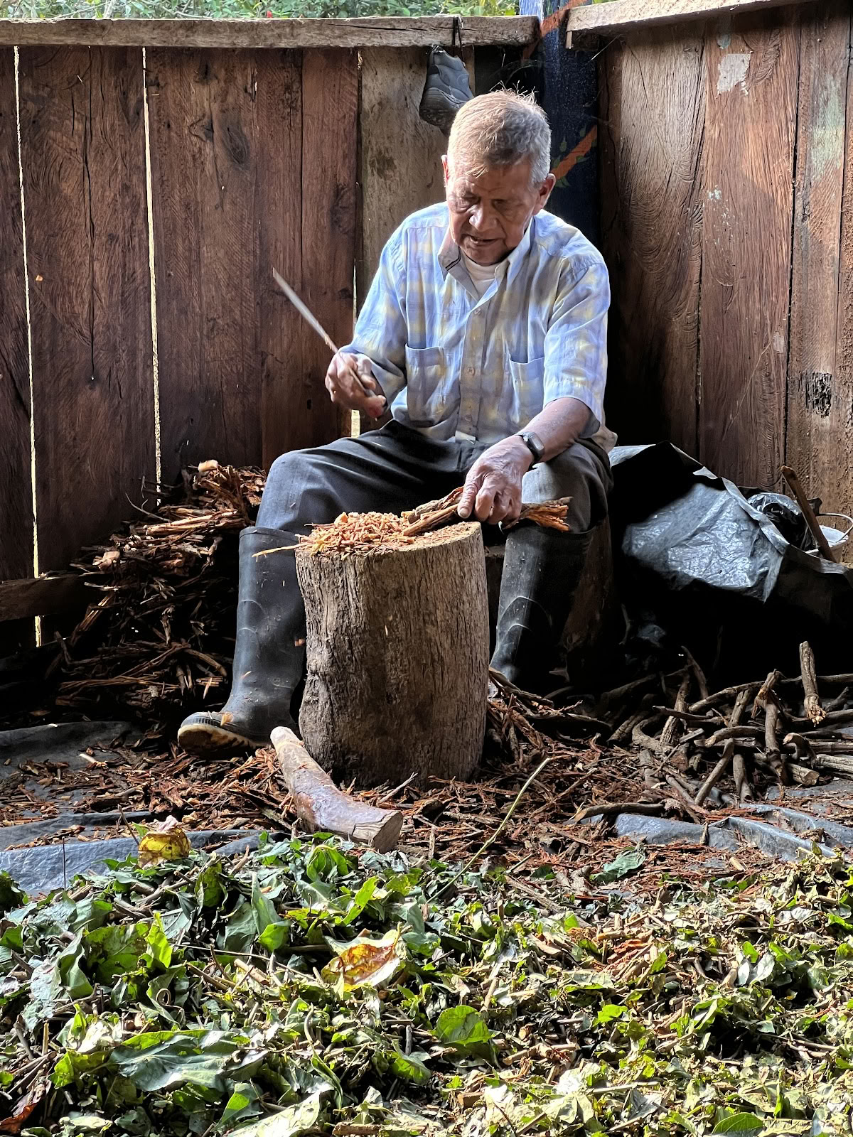 Ayahuasca Spirit Colombia