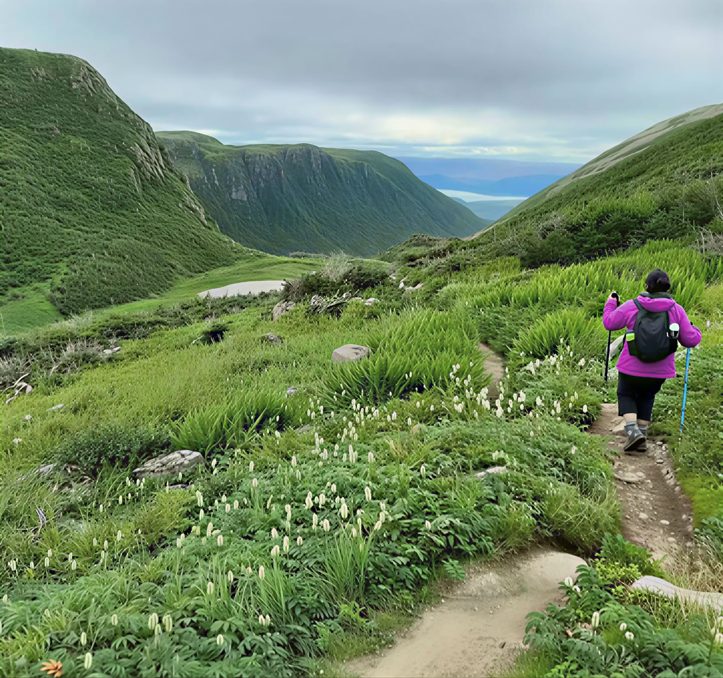 Transform Gros Morne-retraites
