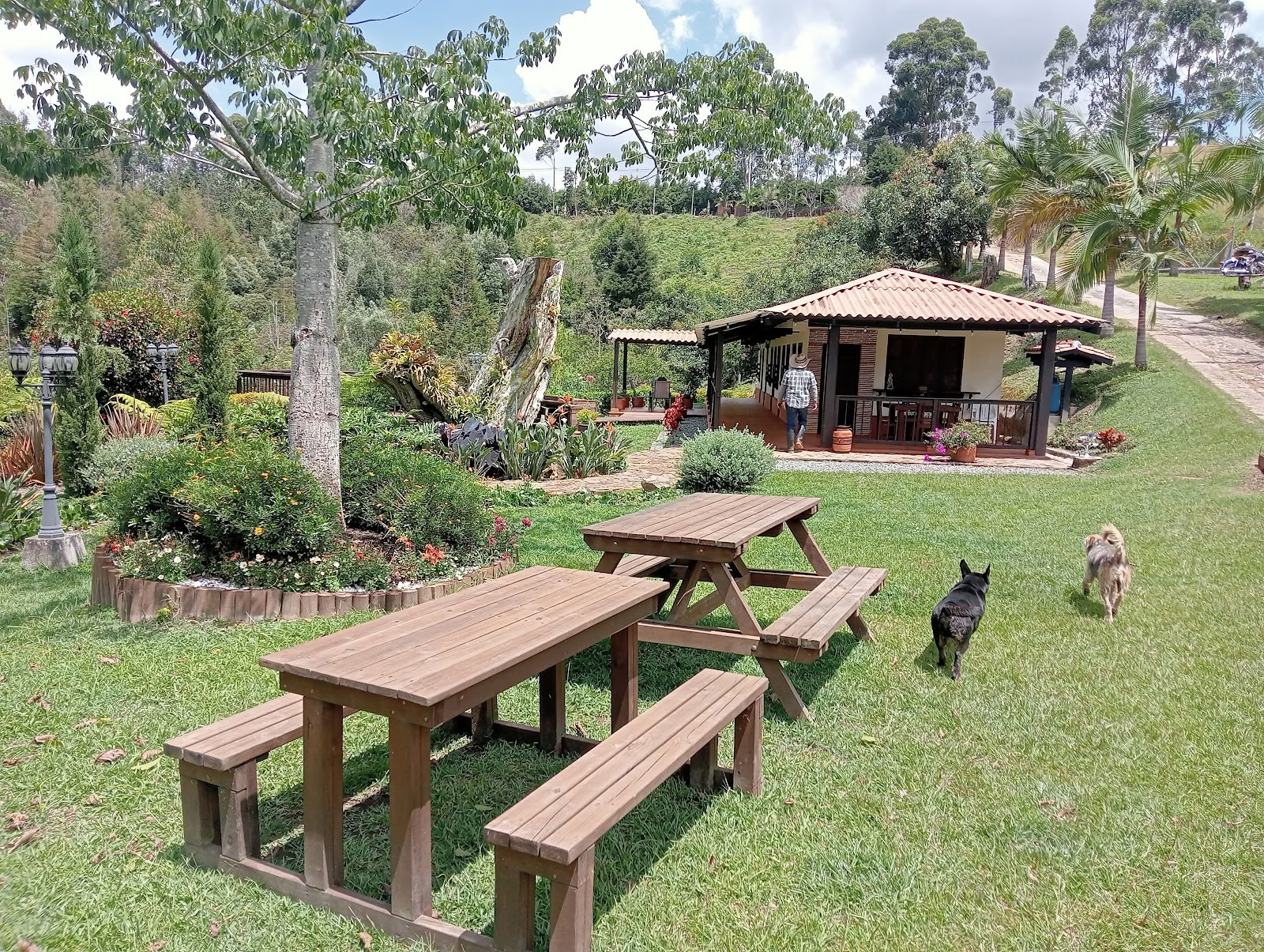 CASA COYA