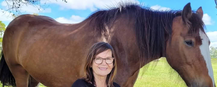 Hart van het Paard - Werken met paarden die mensen helpen genezen