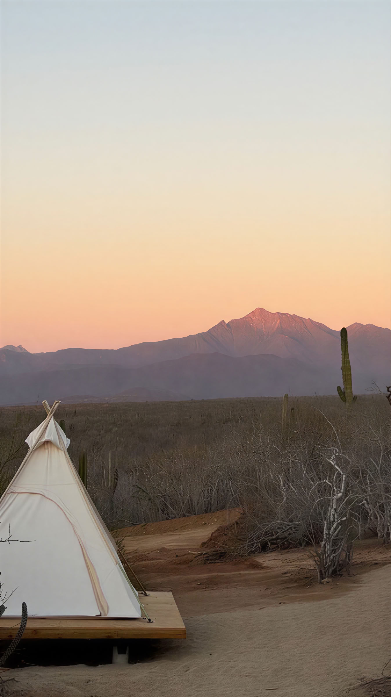 Etherisch | Baja California Sur