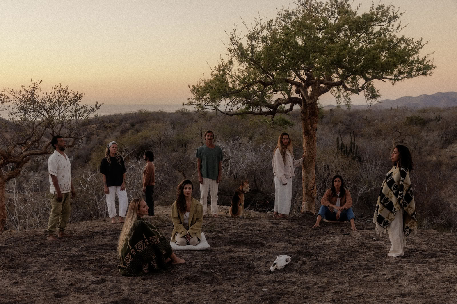 Etherisch | Baja California Sur