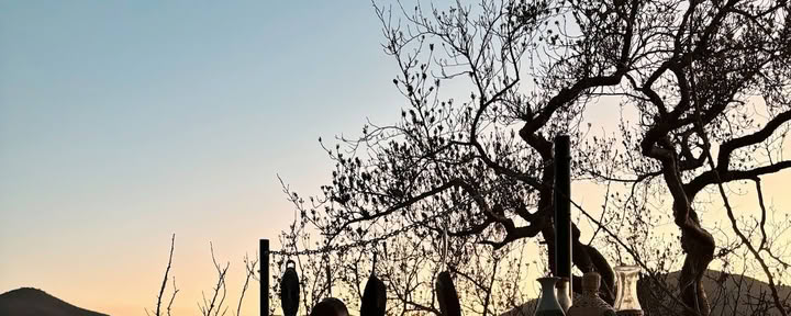 Etherisch | Baja California Sur