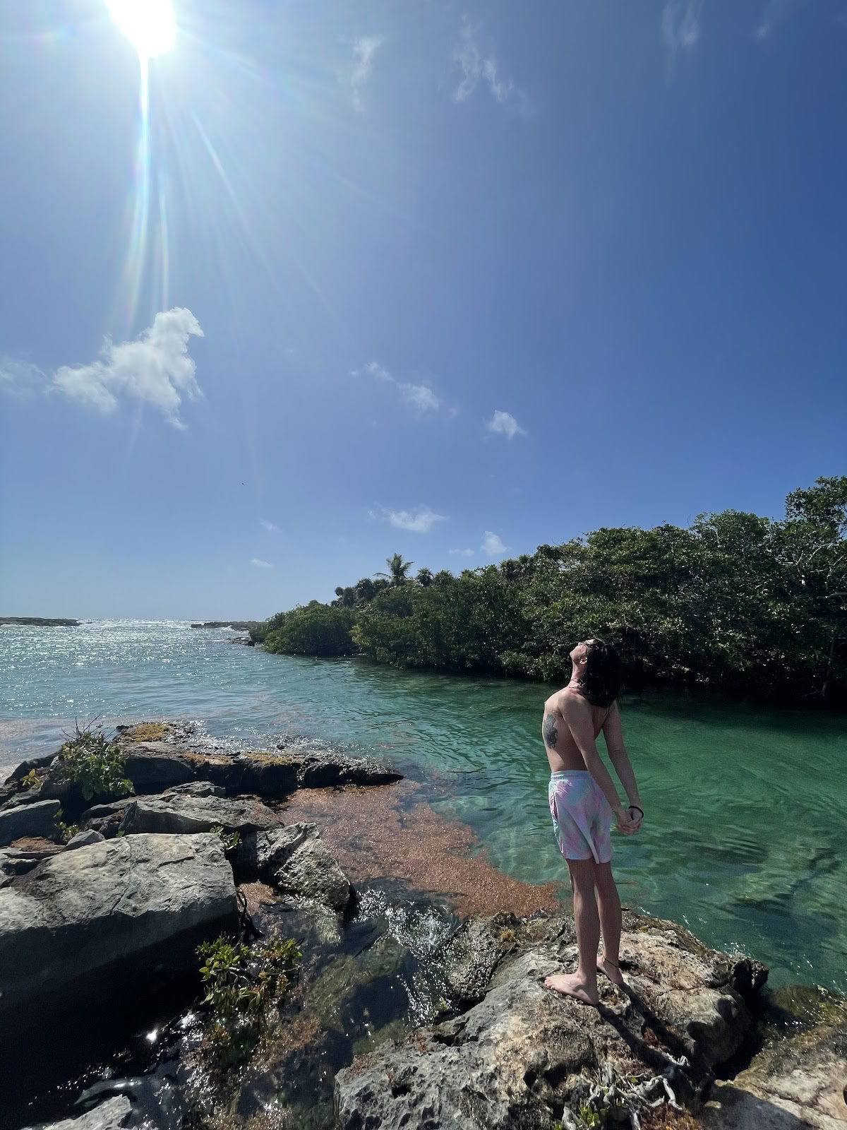 Mi Vida Yoga-retraites Tulum (kantoor)
