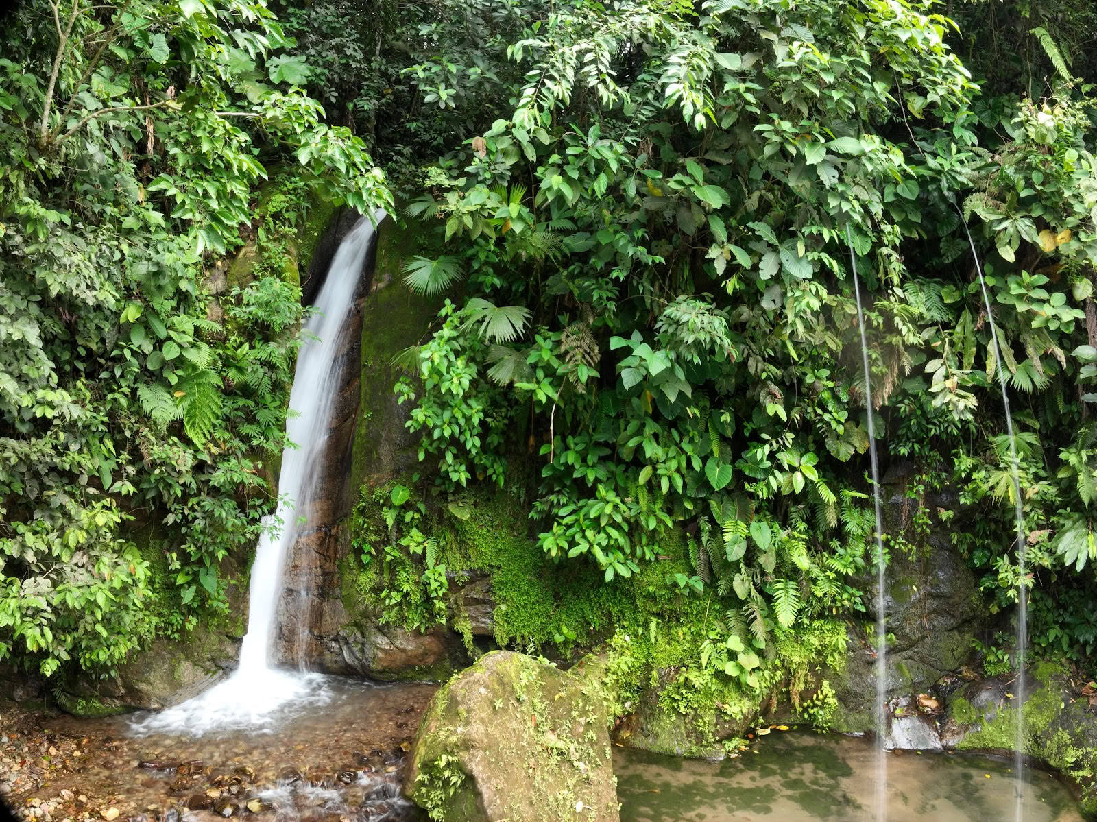 Mahadevi Ayahuasca Retraite Colombia