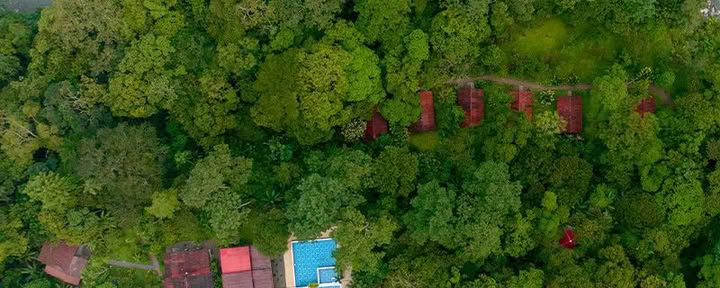 Mahadevi Ayahuasca Retraite Colombia