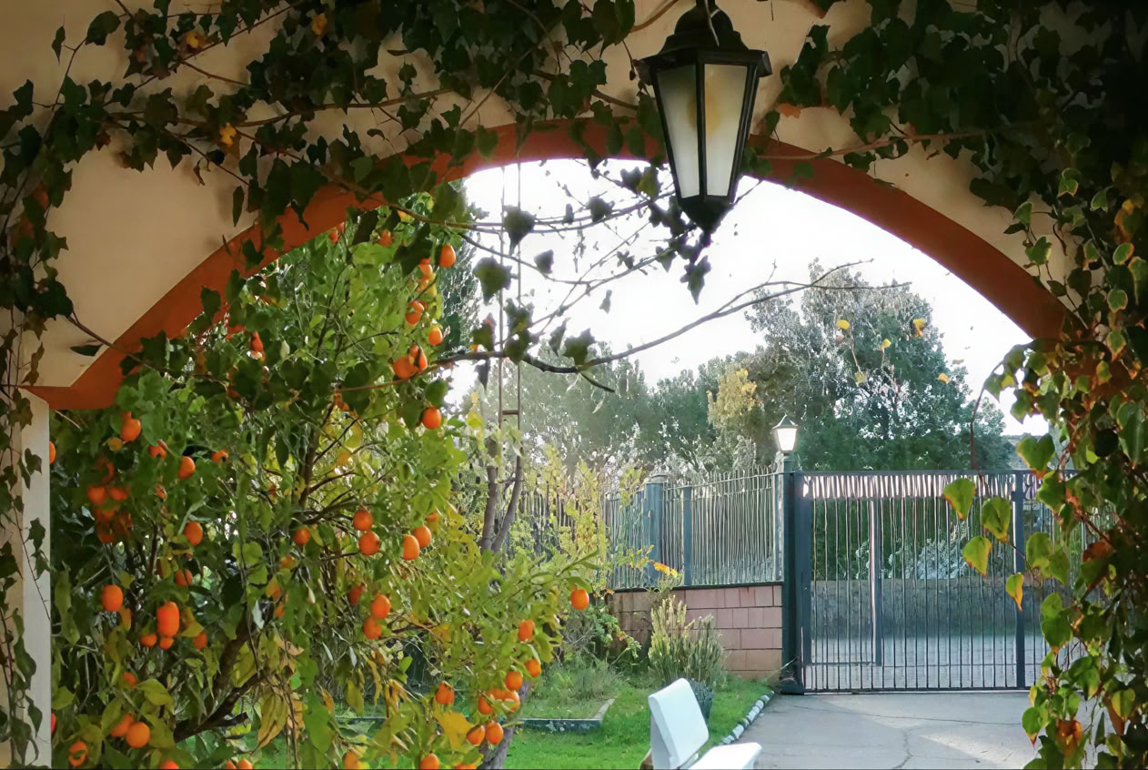 Casa Colibrí (holistische gezondheid)