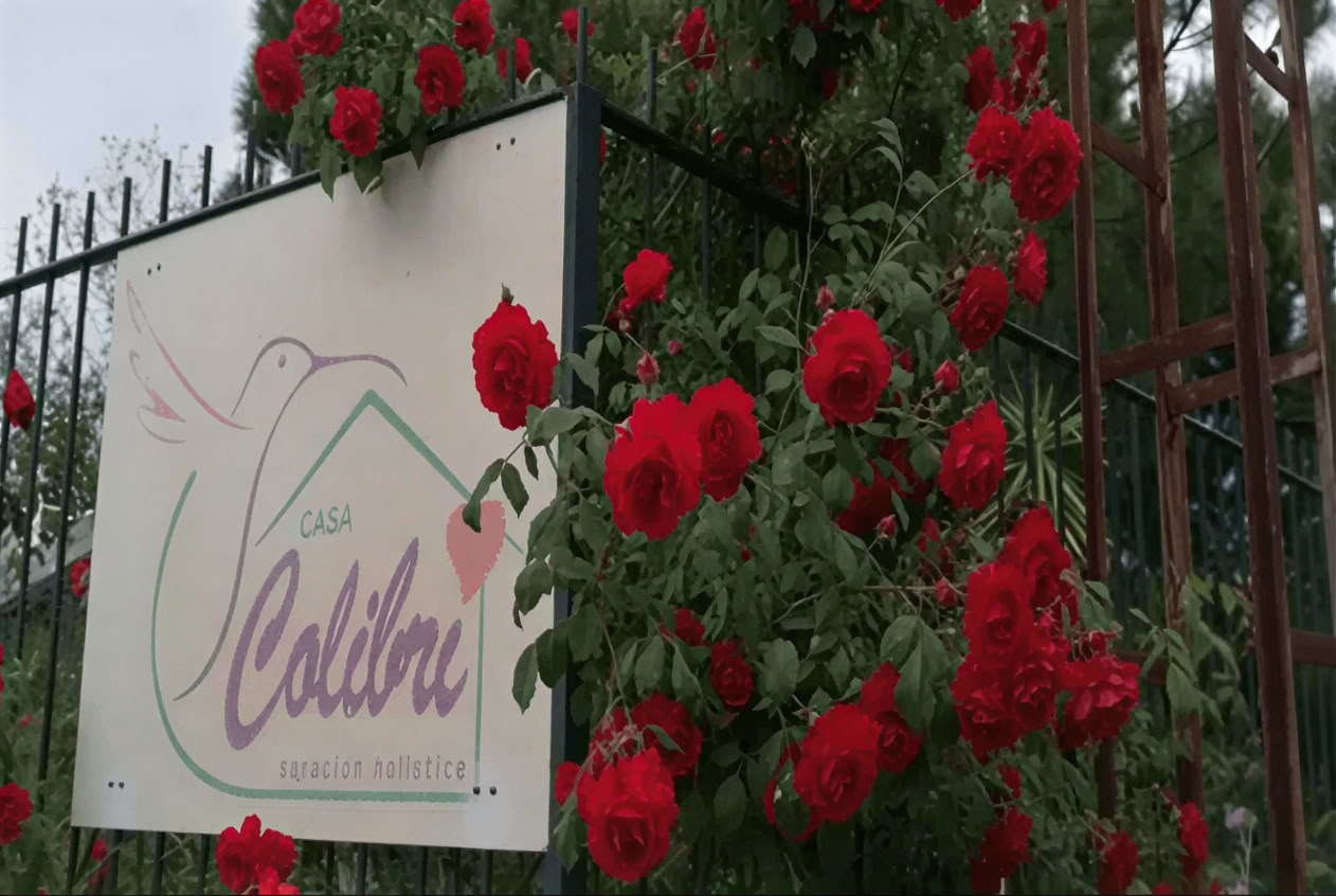 Casa Colibrí (holistische gezondheid)