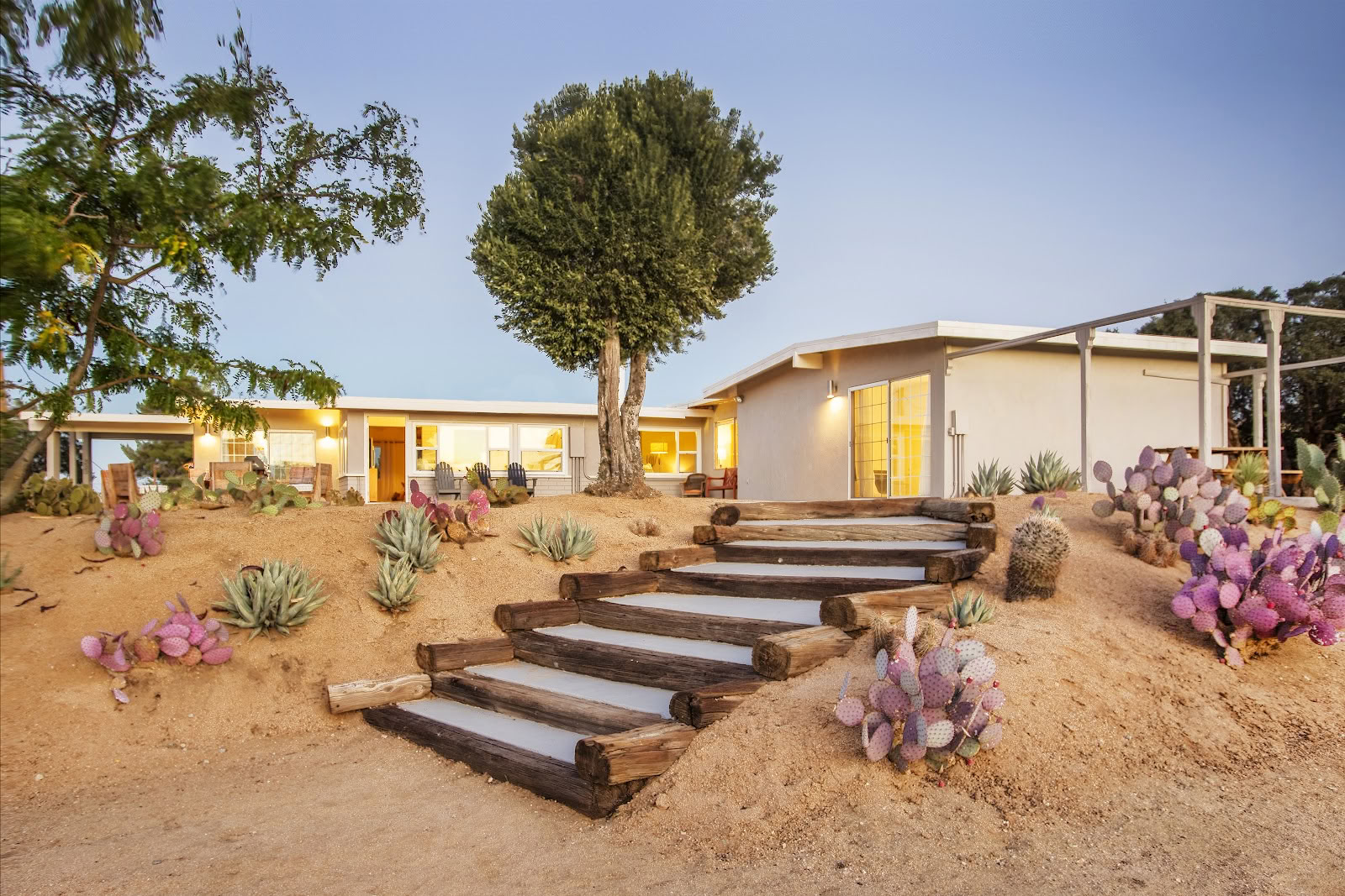Cactusmaanretreat