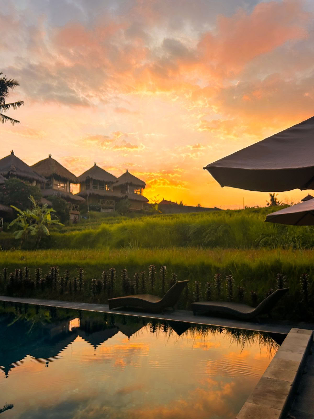 Schaduwen van Yoga - Yoga-docentenopleiding Bali