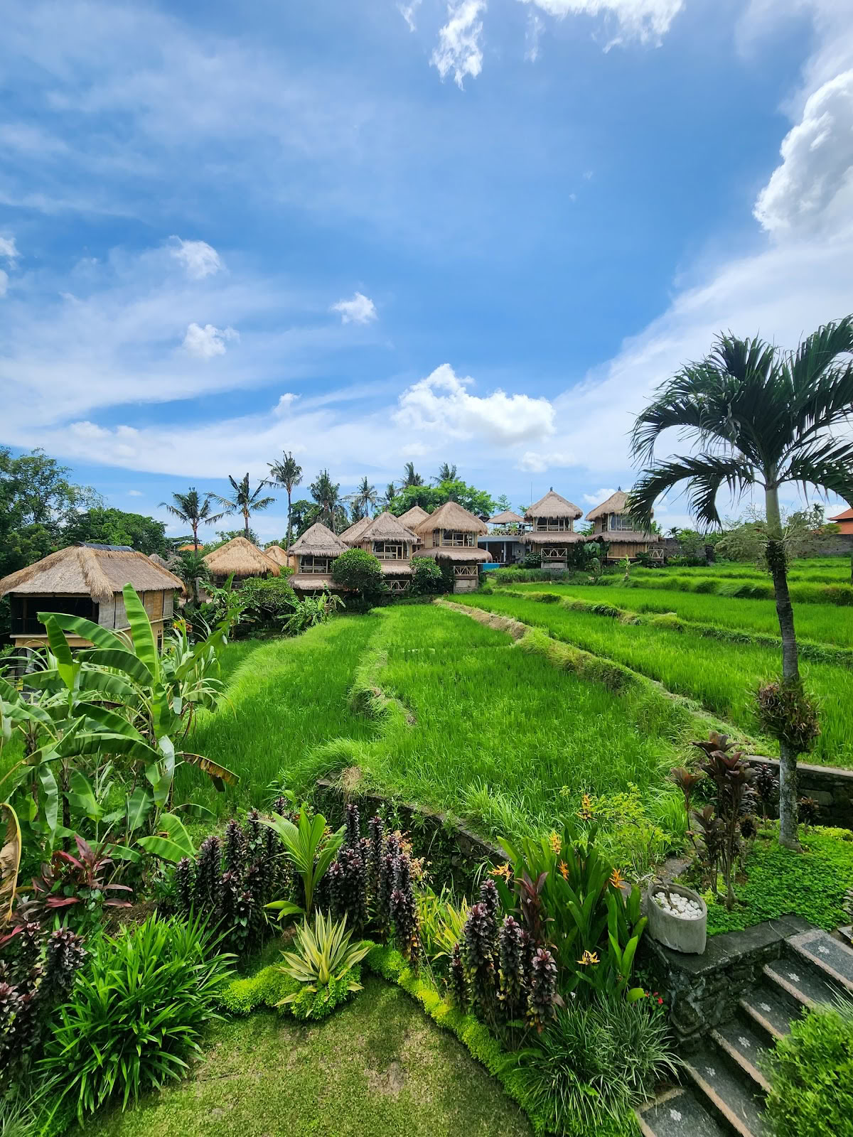 Schaduwen van Yoga - Yoga-docentenopleiding Bali