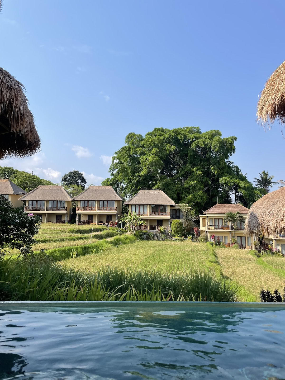 Schaduwen van Yoga - Yoga-docentenopleiding Bali