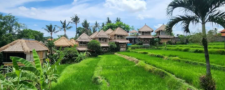 Schaduwen van Yoga - Yoga-docentenopleiding Bali