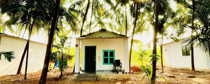 Tapas Yoga India | Beste yoga-lerarenopleiding en yogaretreat in India