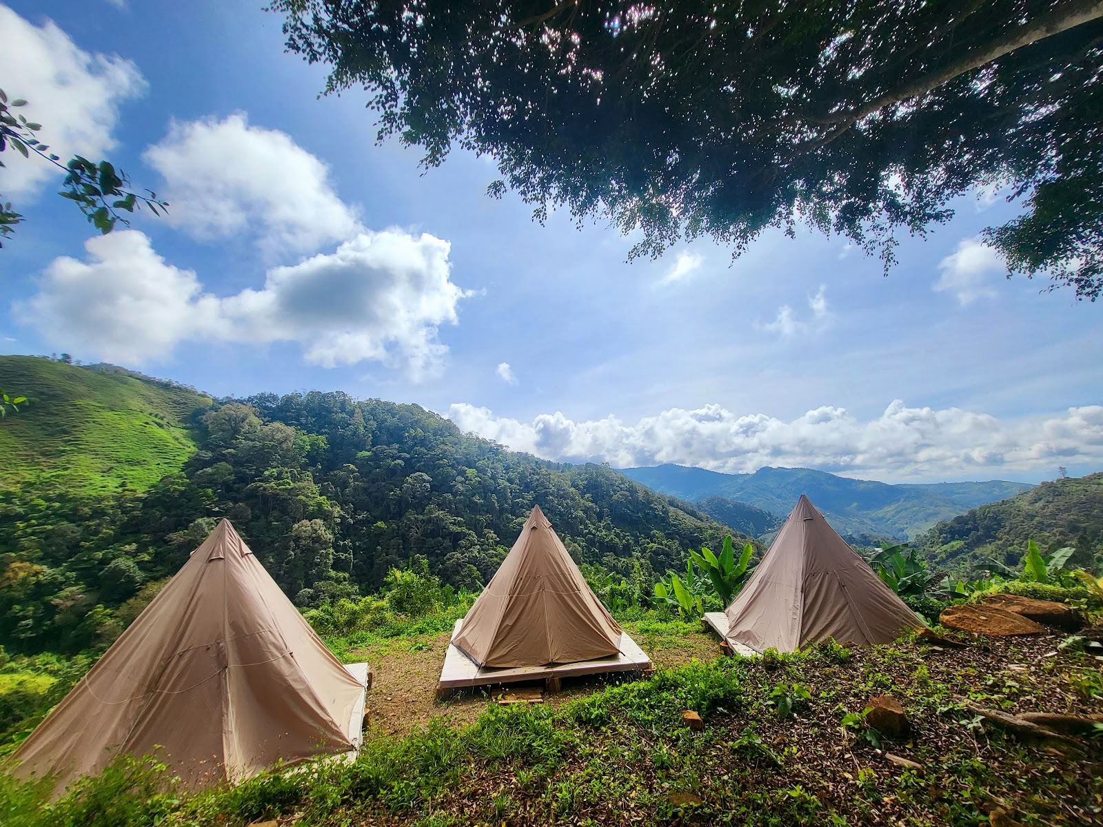 Nueva Vida Retreats