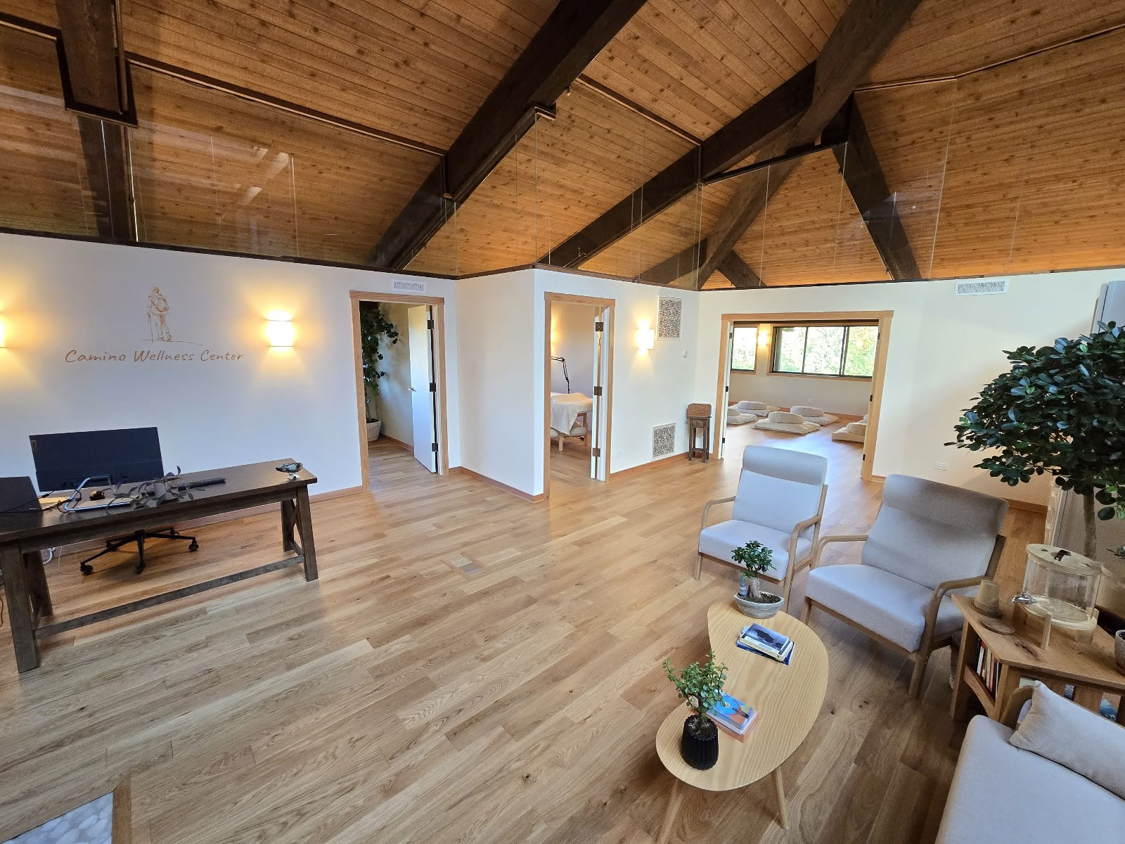 Camino Wellness Center | Acupunctuur & Meditatie