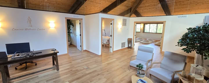 Camino Wellness Center | Acupunctuur & Meditatie