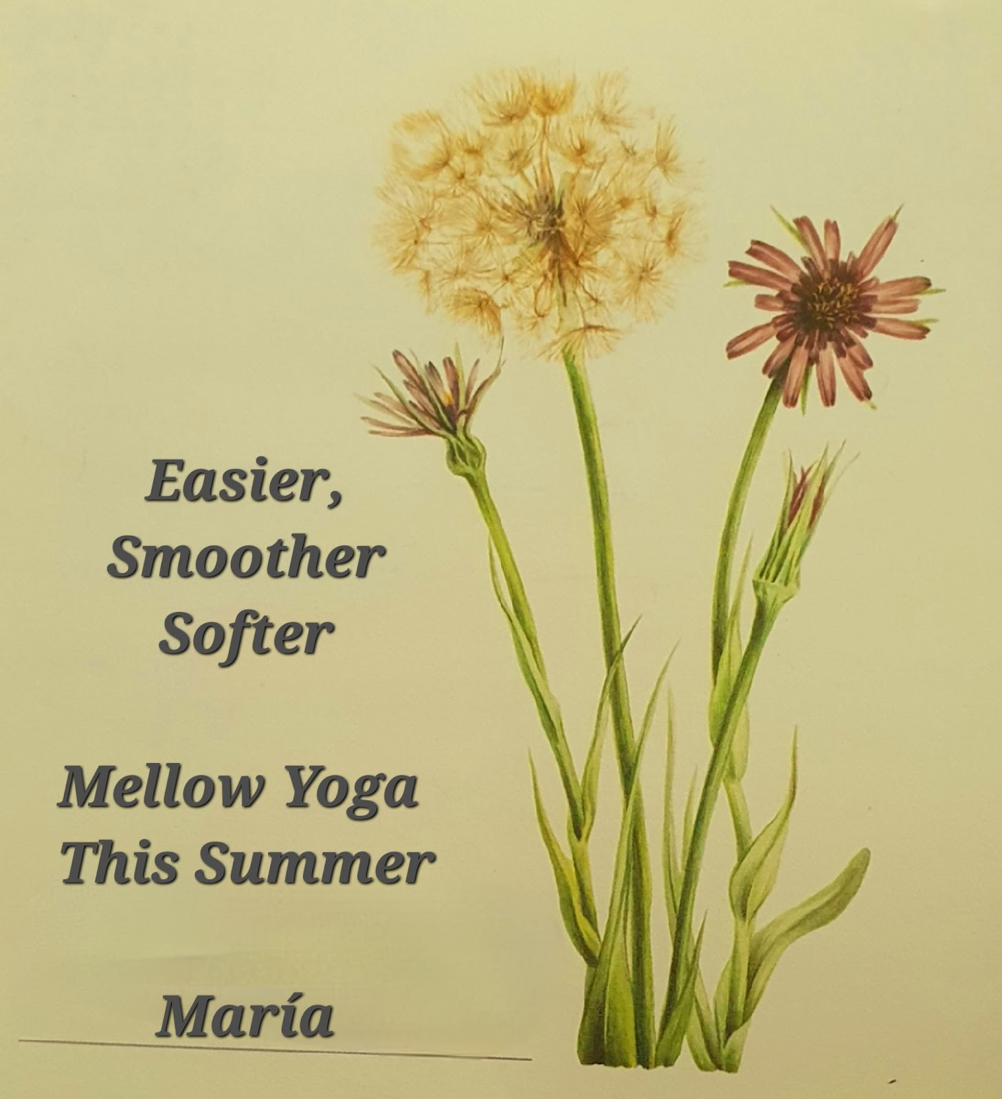 Yoga met María | Sotogrande