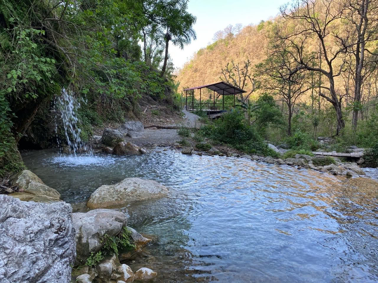 Mind Flow Harmonie - Beste yogalerarenopleiding in Rishikesh