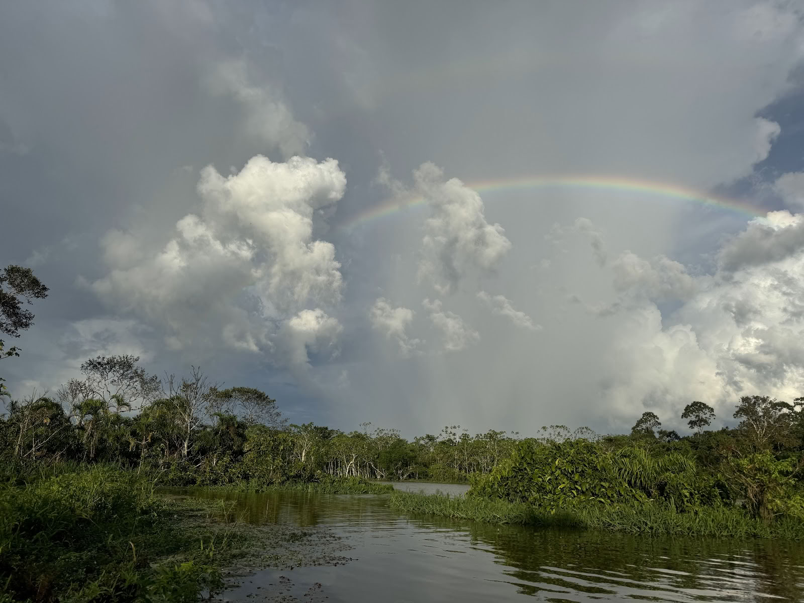 Ayahuasca-ecotours