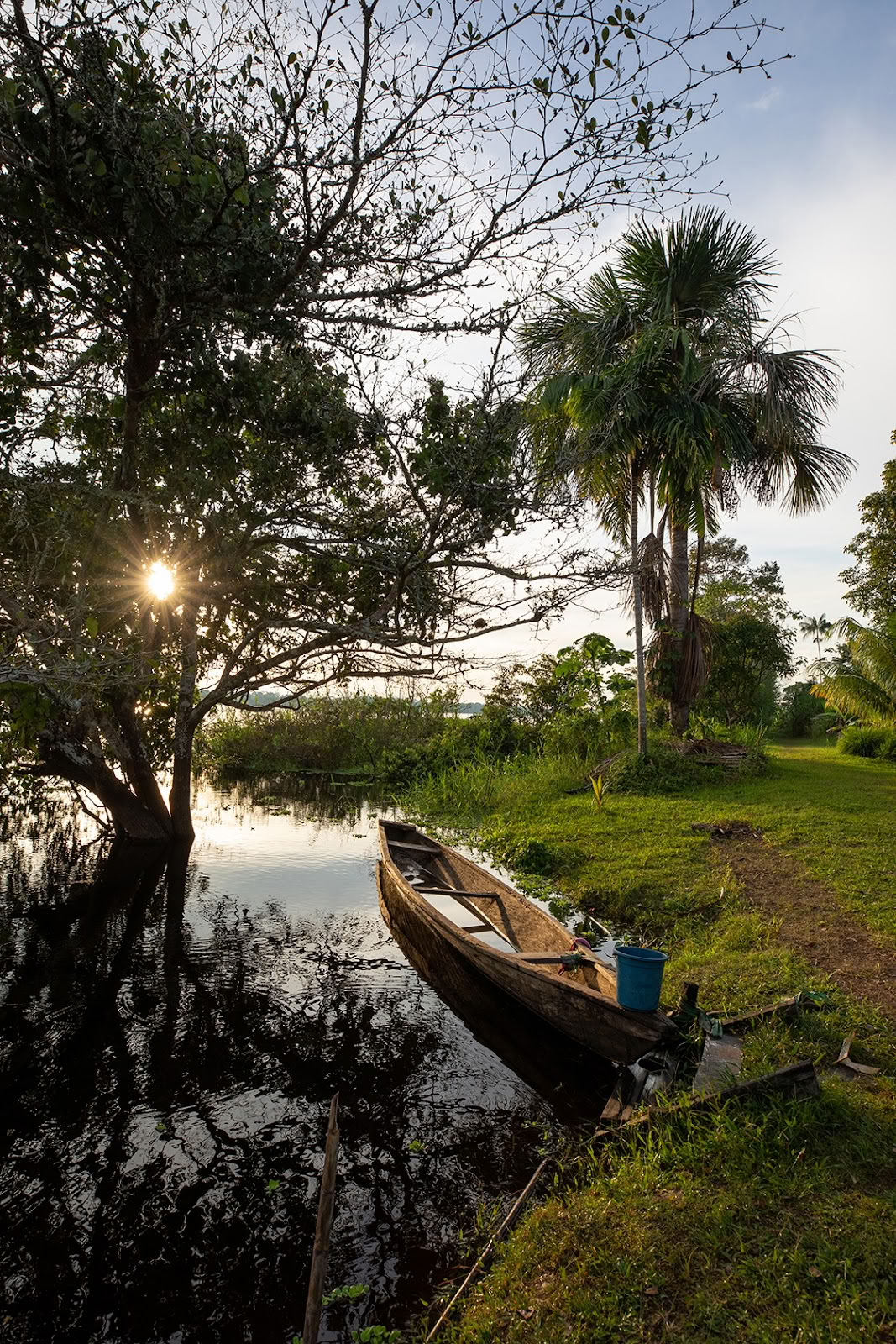 Ayahuasca-ecotours