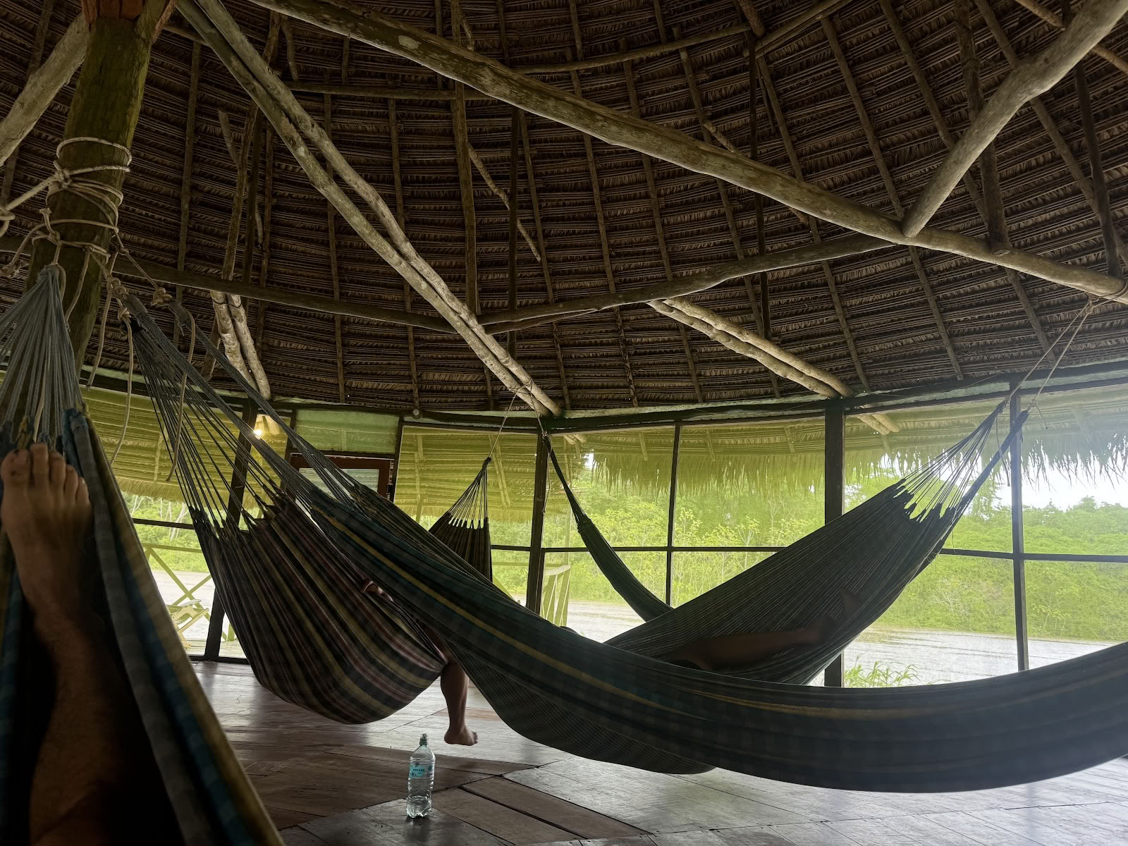 Ayahuasca-ecotours