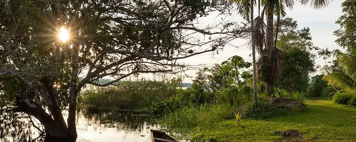 Ayahuasca-ecotours