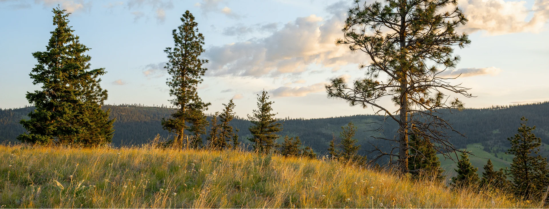 Namchak Retreat Ranch