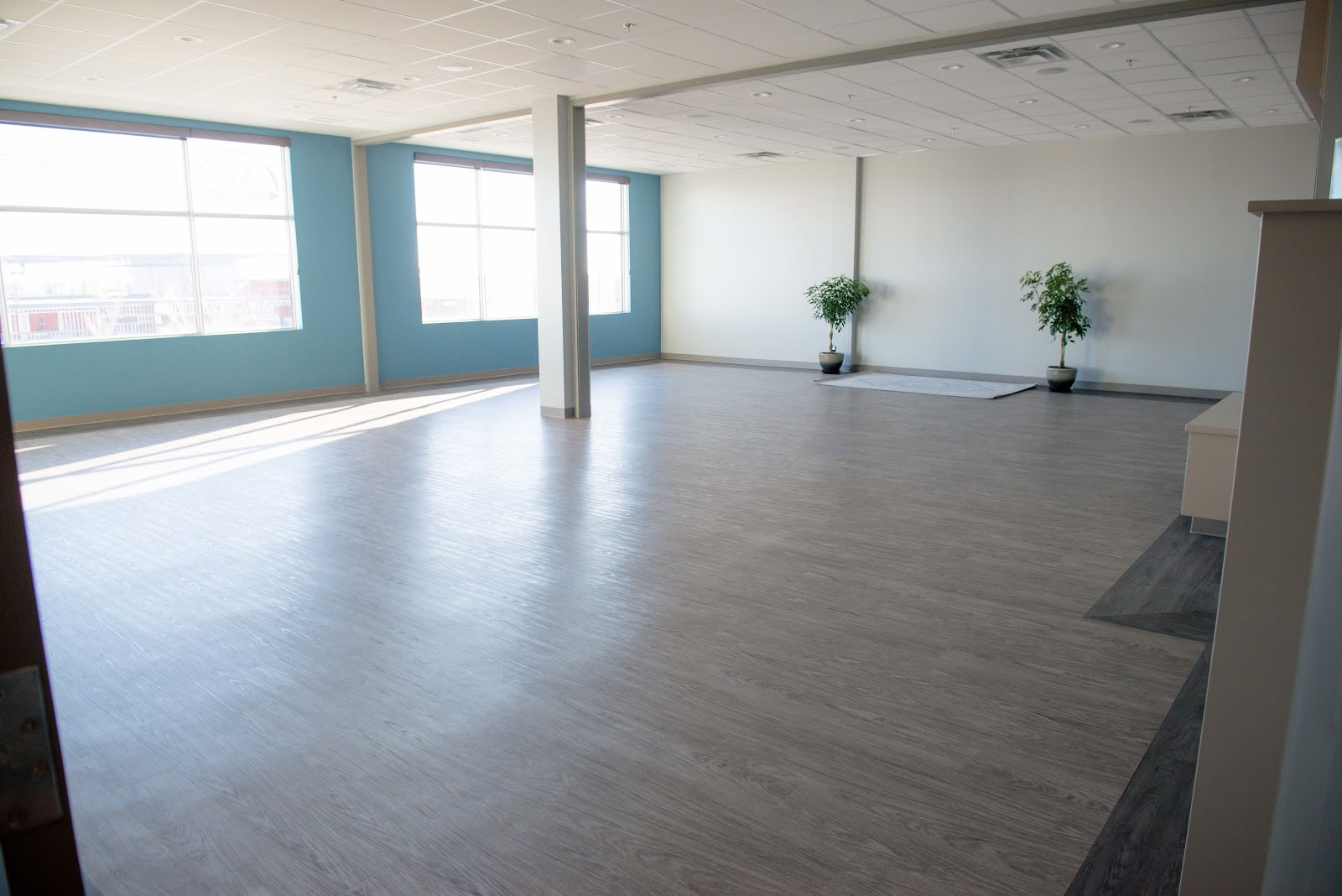 Kracht en gratie yoga