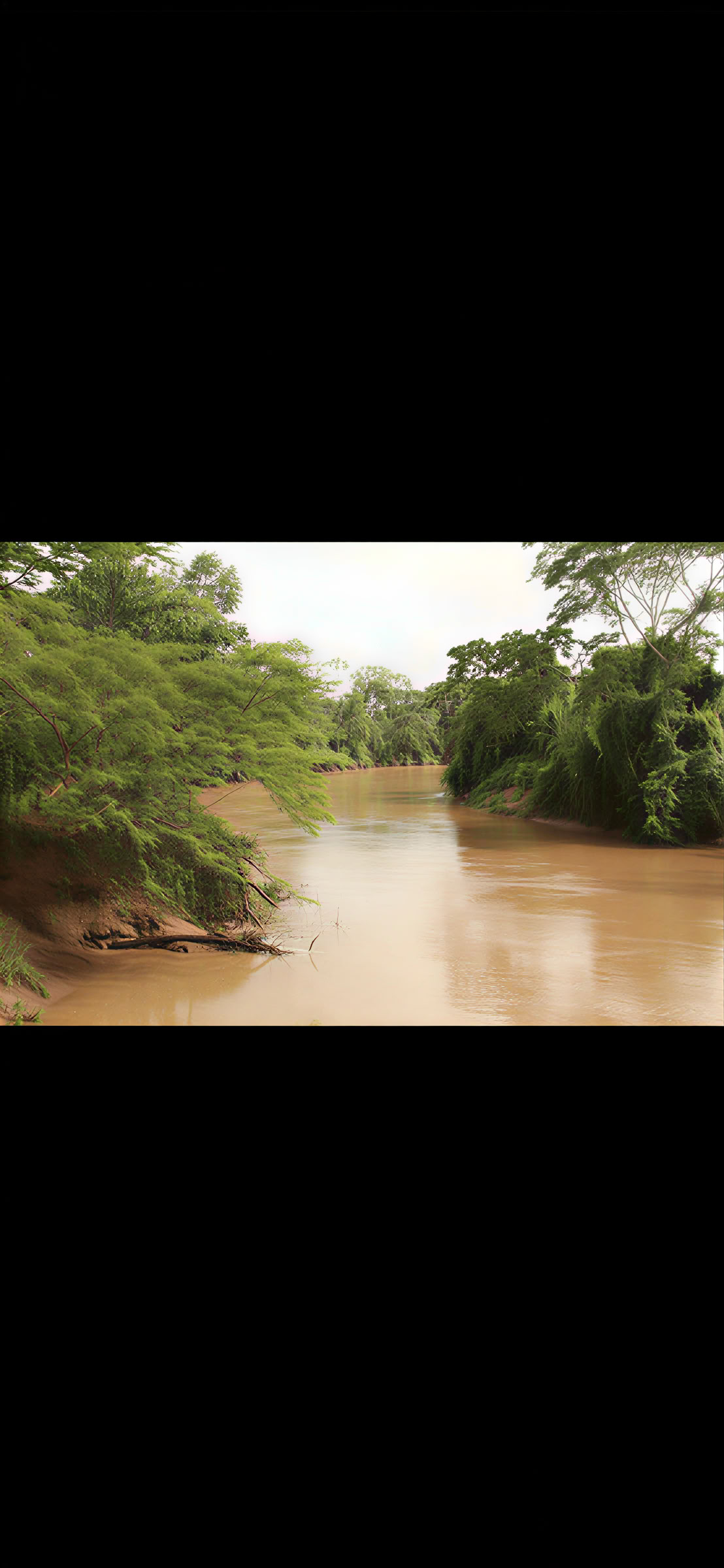 Niwe Rama Healing Center