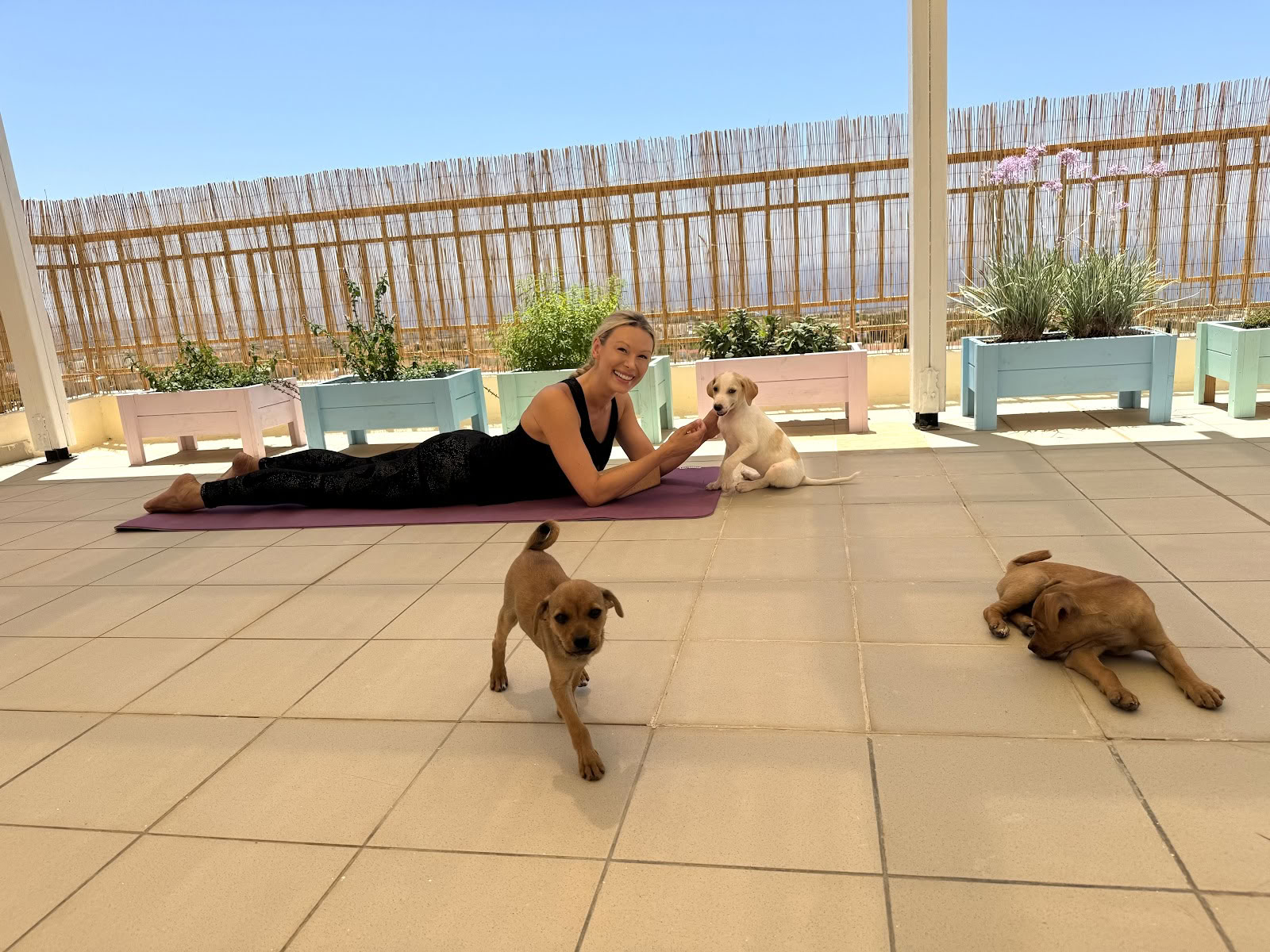 Puppy Yoga-retraite