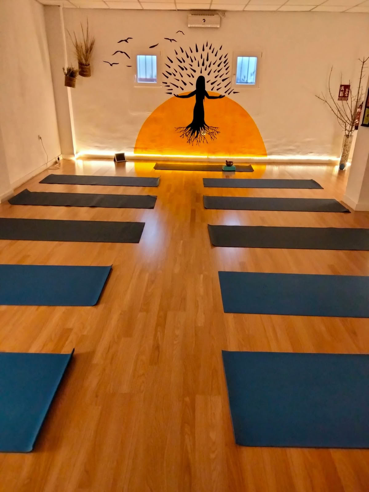 Alma y Tierra | Kruidenier | Centrum voor natuurlijke therapieën en yoga