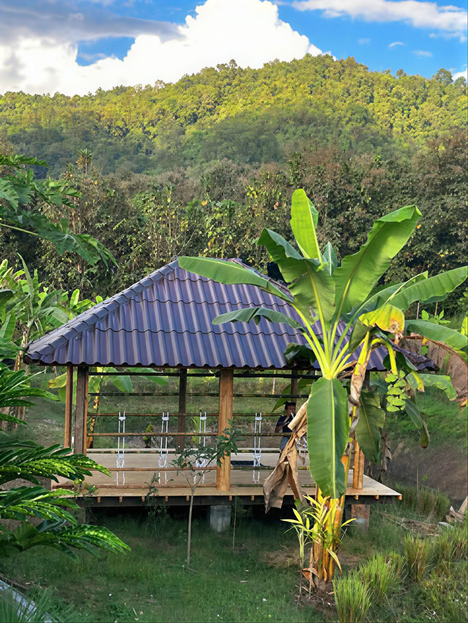 Ware Natuur Chiang Mai - Yoga- en Meditatieverblijf Retreat