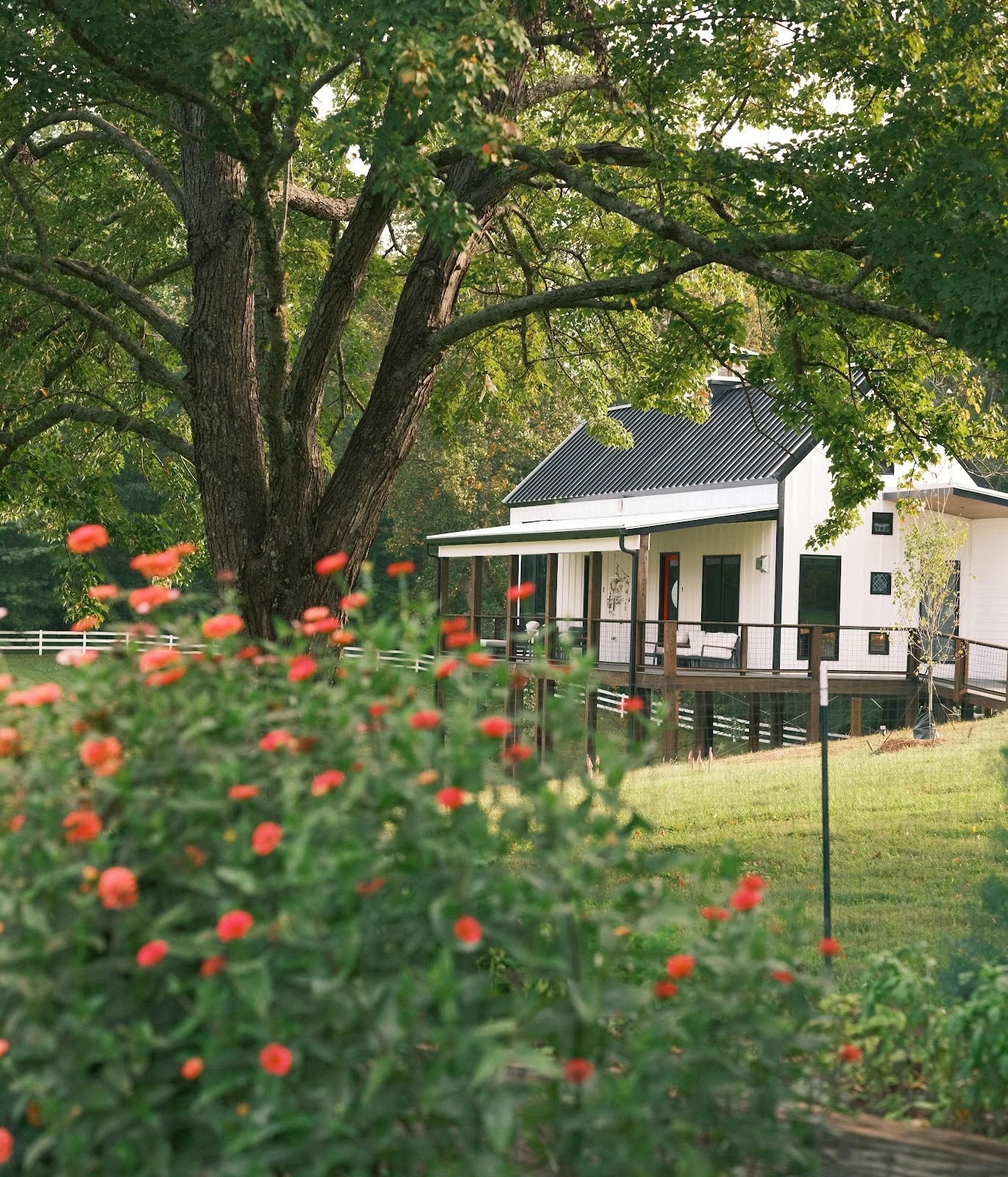 De Hoefijzerboerderij