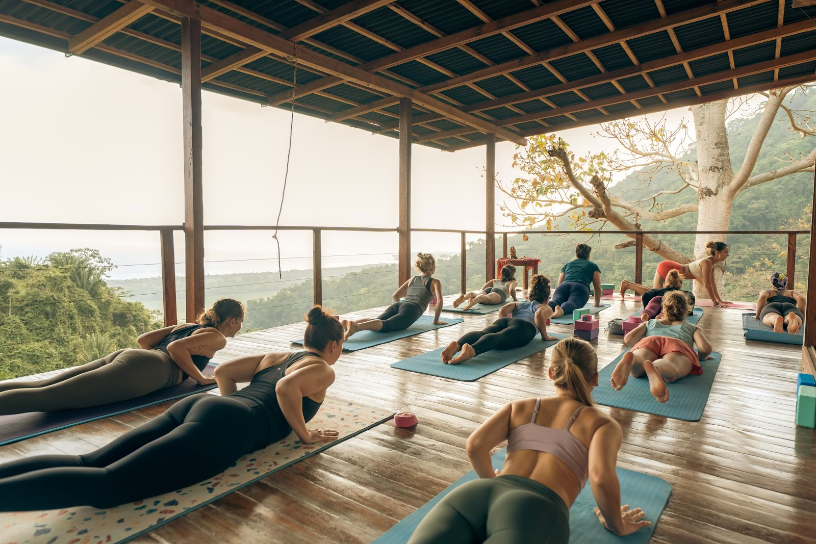 Ahimsa Yogaschool