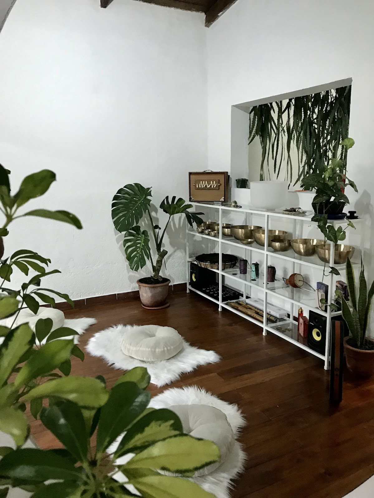 Holistisch Bloei - Gezondheids- en Wellnesscentrum