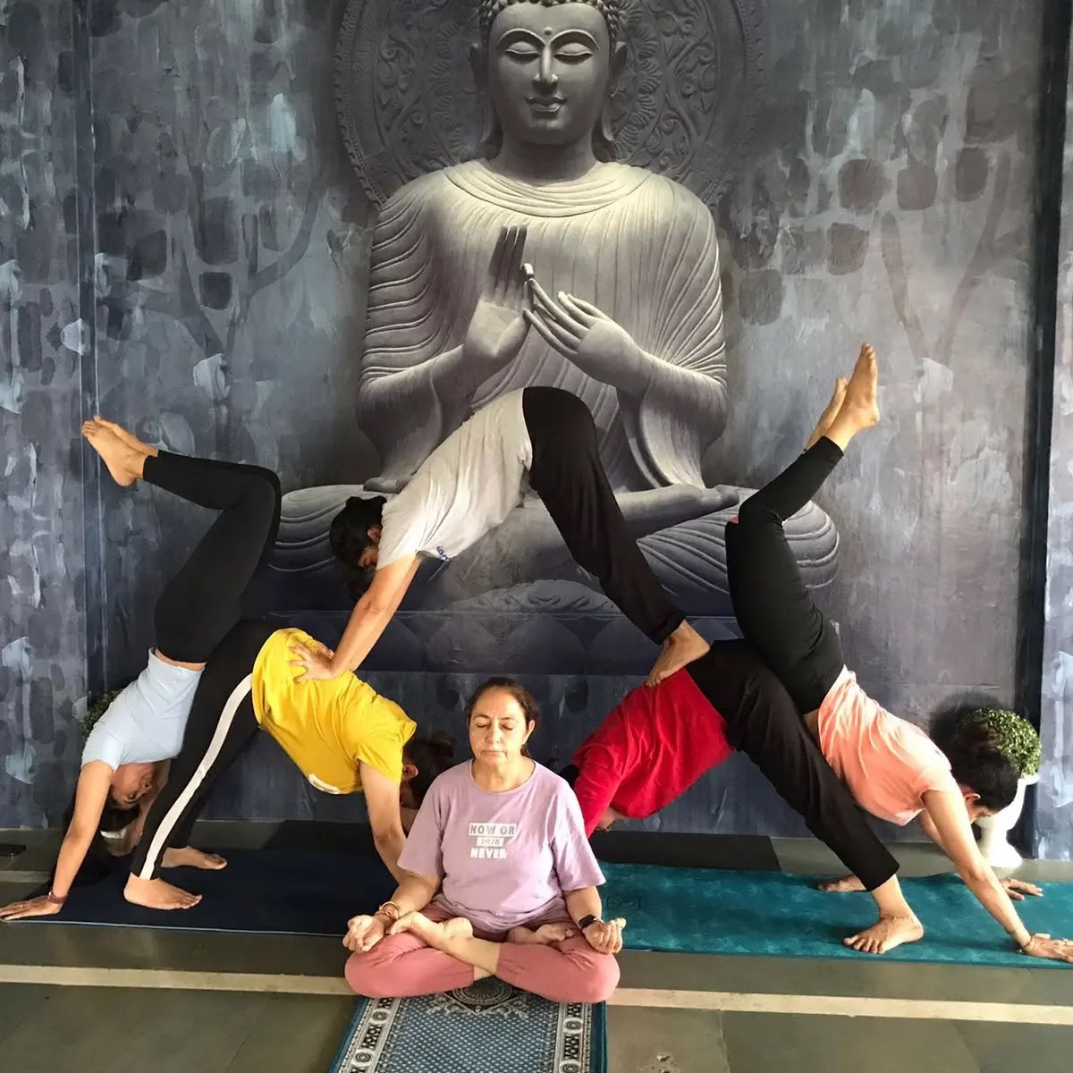 Zonneschijnyoga / Beste yogalessen in Amritsar / Yogalessen in Amritsar / Yoga in Amritsar
