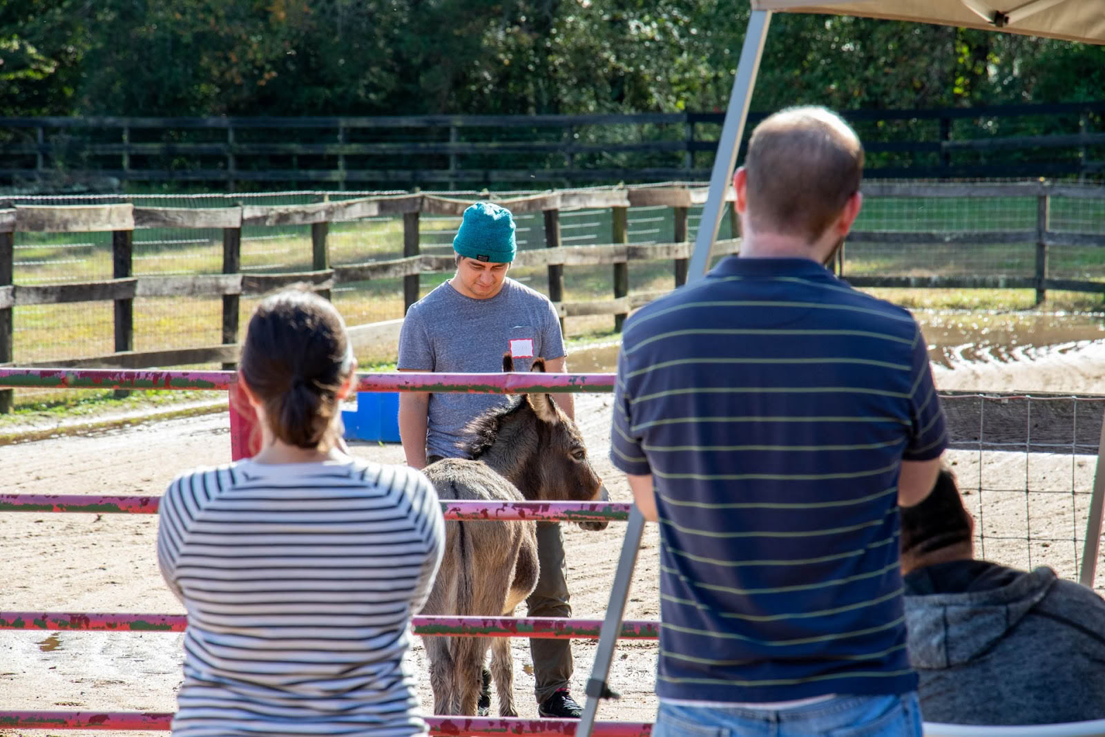 Stel je Equus Farm voor