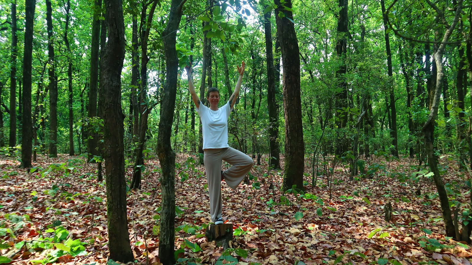 Yoga-essentie: Meditatieleraarstraining in een ashram