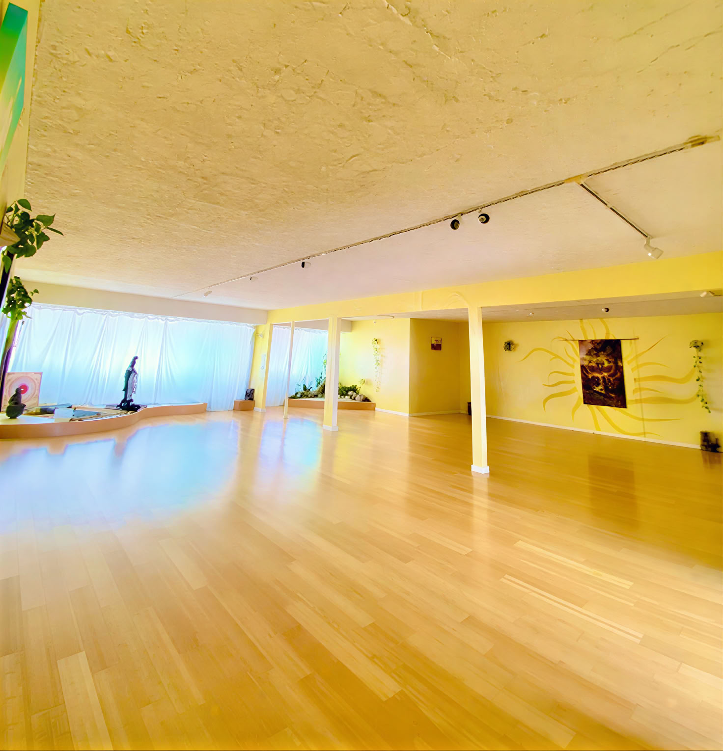 Ja-yoga