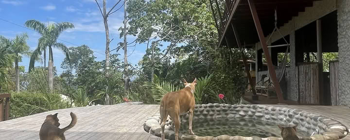 Casa Nautika Retreatcentrum