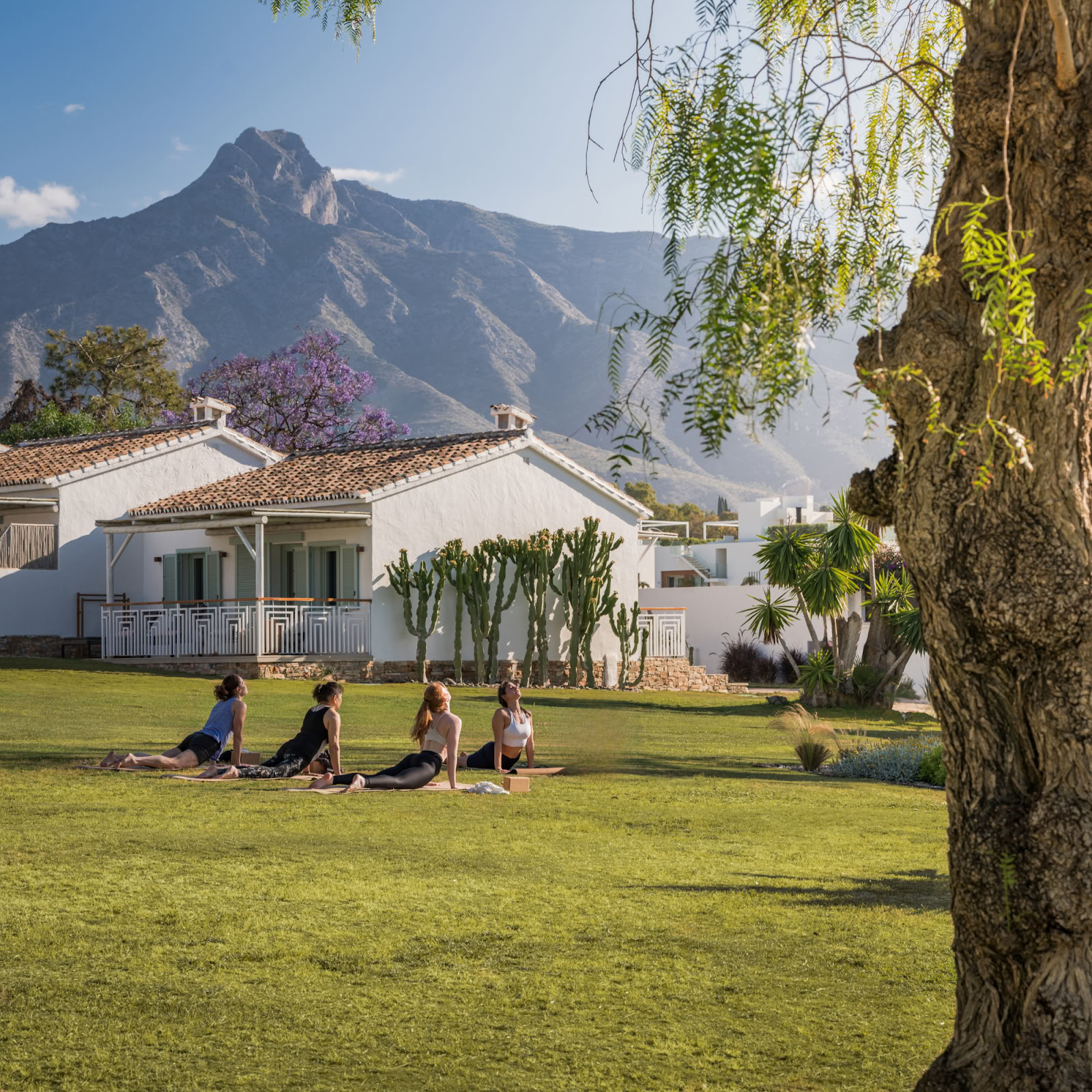 Boho Wellness · Gezondheid & Retraites
