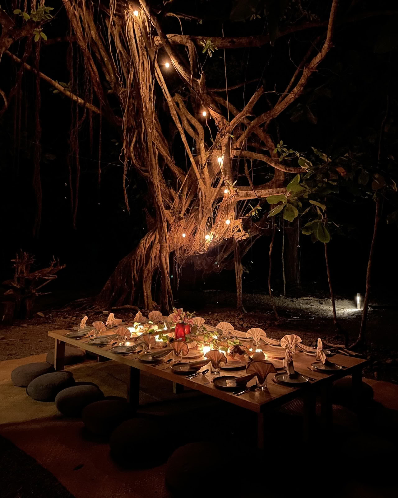 Mindful Moments - evenementenbureau